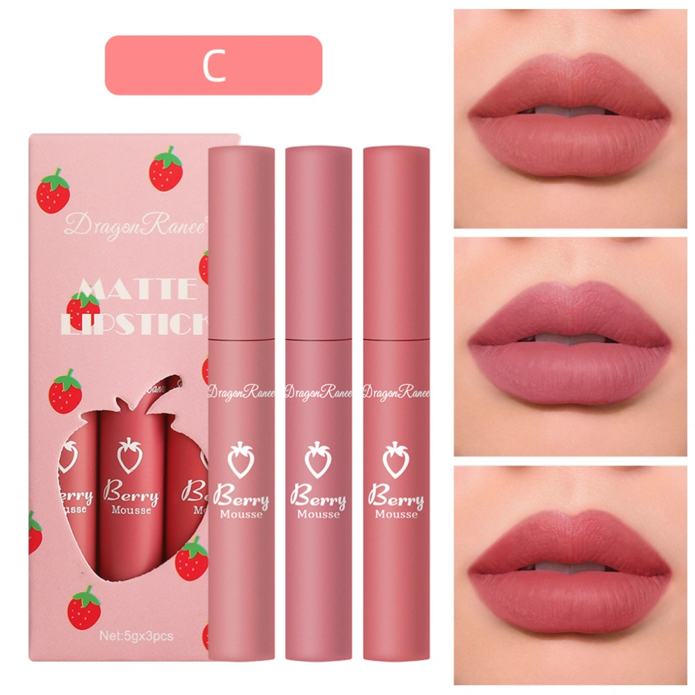 3 Color Matte Lipstick Waterproof Matte Non Stick Cup Lip Gloss Lip Makeup for Daily Party Wedding