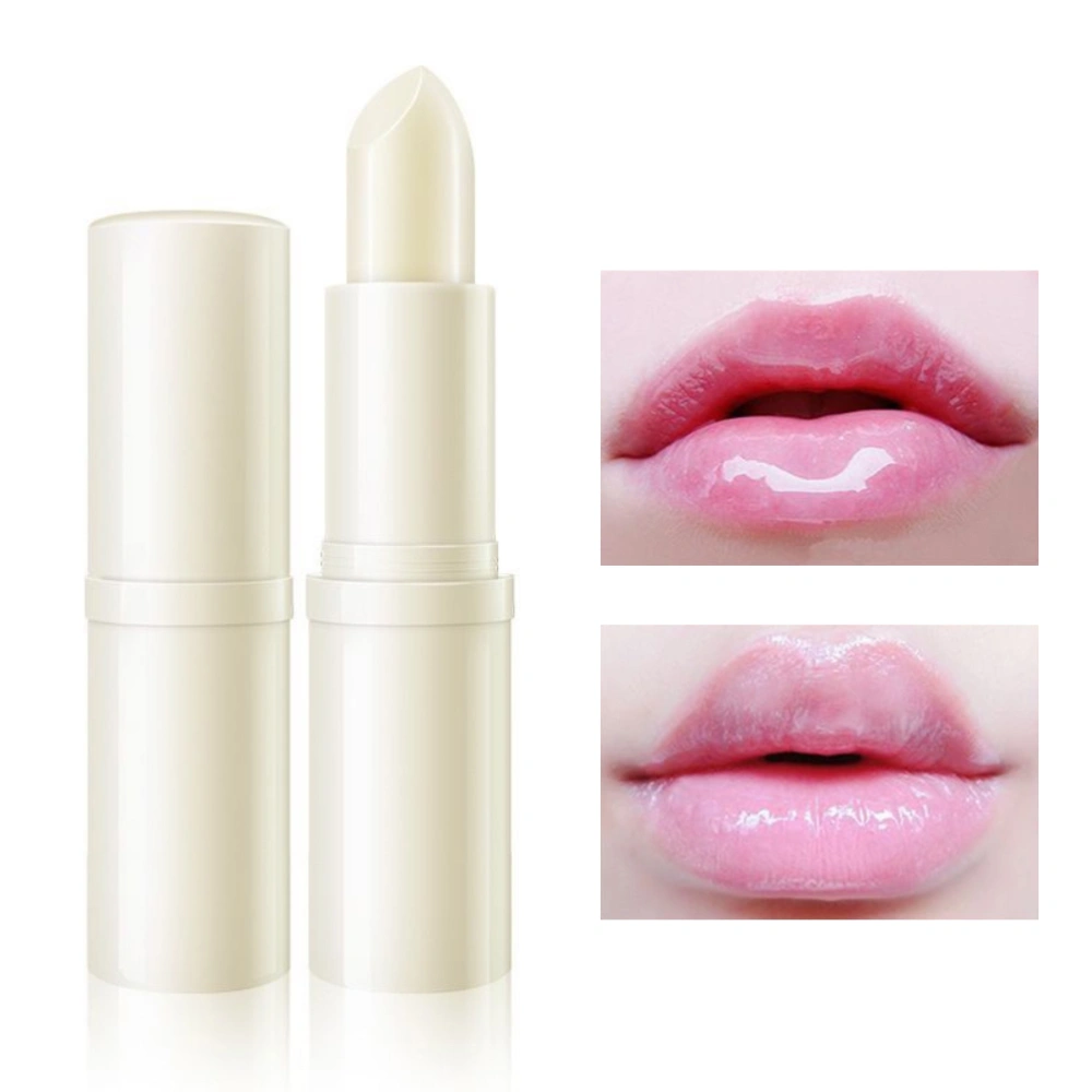 Moisturizing Colorless Plant Honey Lip Balm Anti Drying and Waterproof Lip Wax Portable Lip Gloss for Women