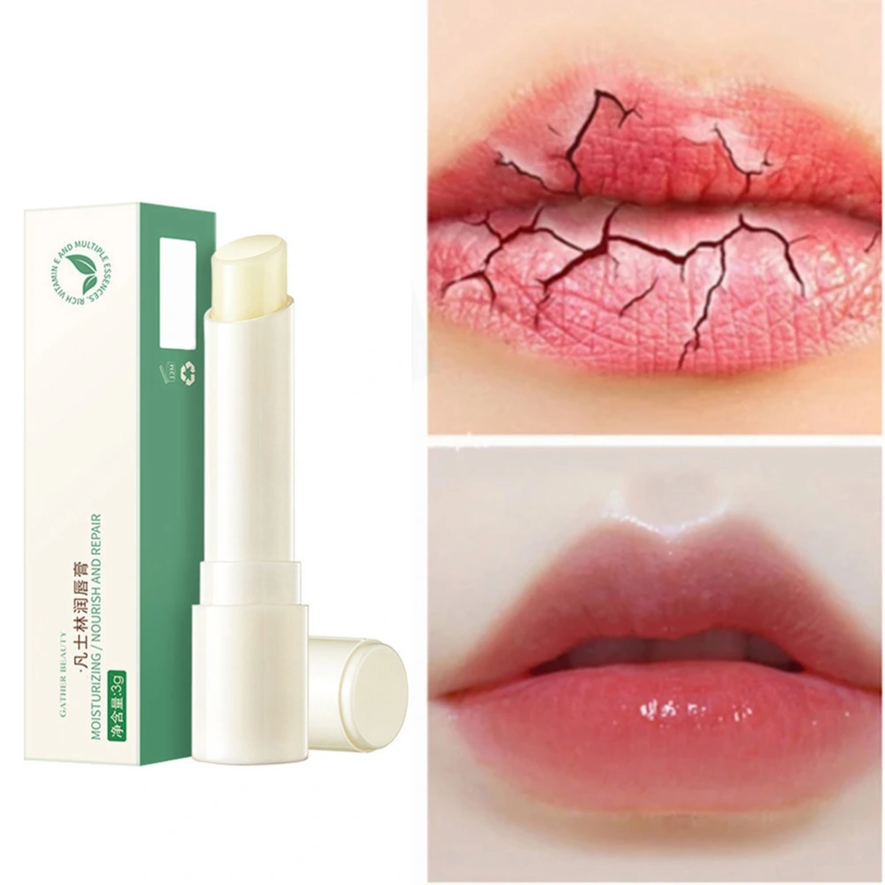 Lip Balm Moisturizing Lipstick Anti Chapped Lip Balm for Men and Women Lip Care