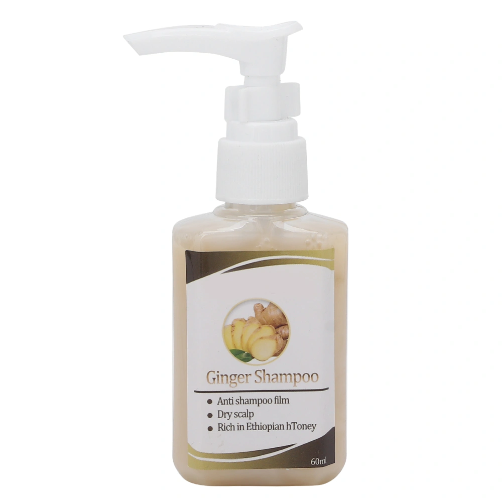 Ginger Shampoo Oil Control Nourishing Hair Loss Treatment Cleaning Shampoo for Hair Care