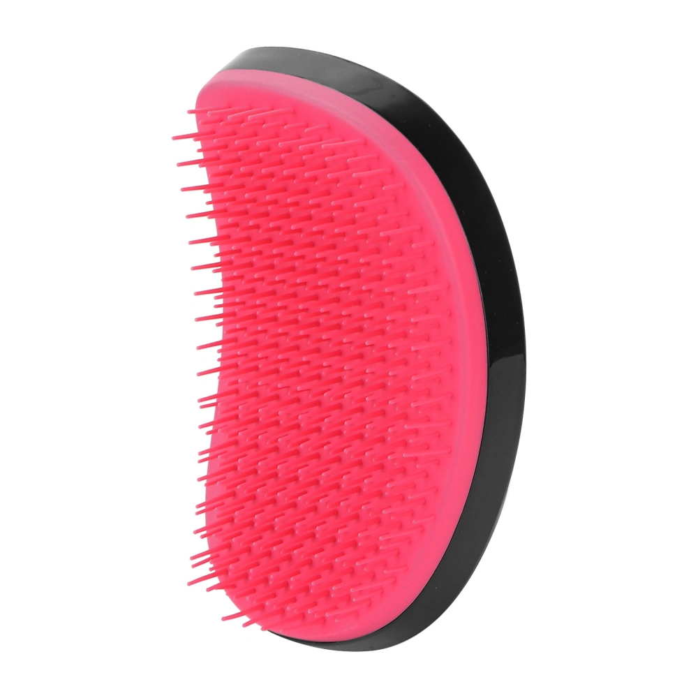 Detangling Hairbrush Professional Home Detangler Hair Brush Comb for Curly HairBlack