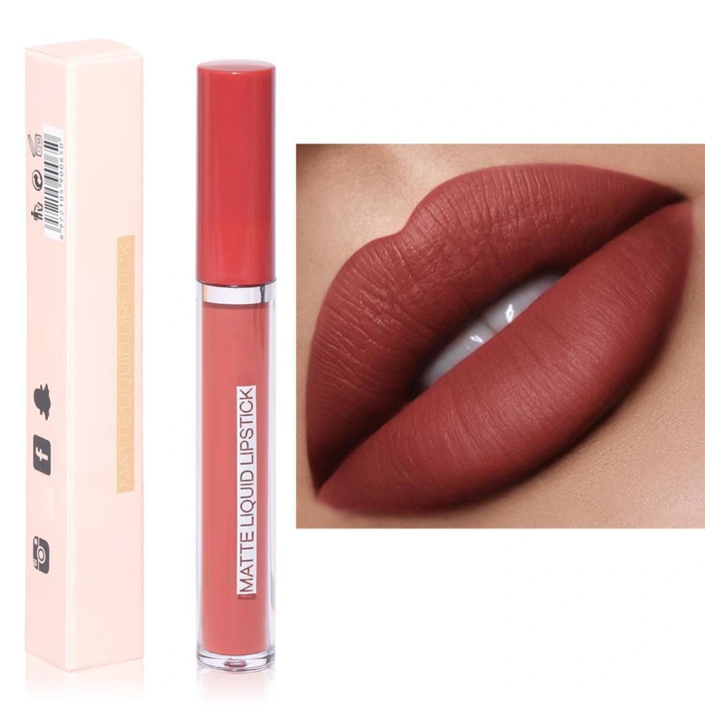 Matte Liquid Lipstick 3g Long Lasting Fade Proof Lip Gloss for Home Travel Color 5