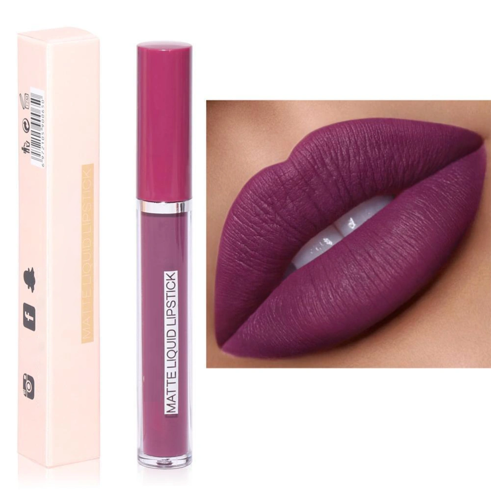 Matte Liquid Lipstick 3g Long Lasting Fade Proof Lip Gloss for Home Travel Color 2