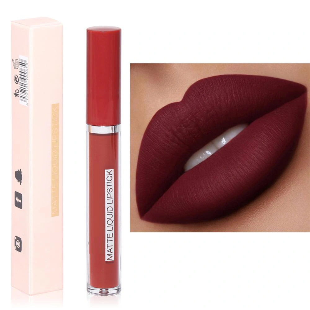 Matte Liquid Lipstick 3g Long Lasting Fade Proof Lip Gloss for Home Travel Color 3