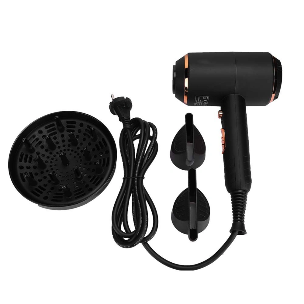 Negative Ion Electric Hair Dryer Strong Power Adjustable Blow Dryer