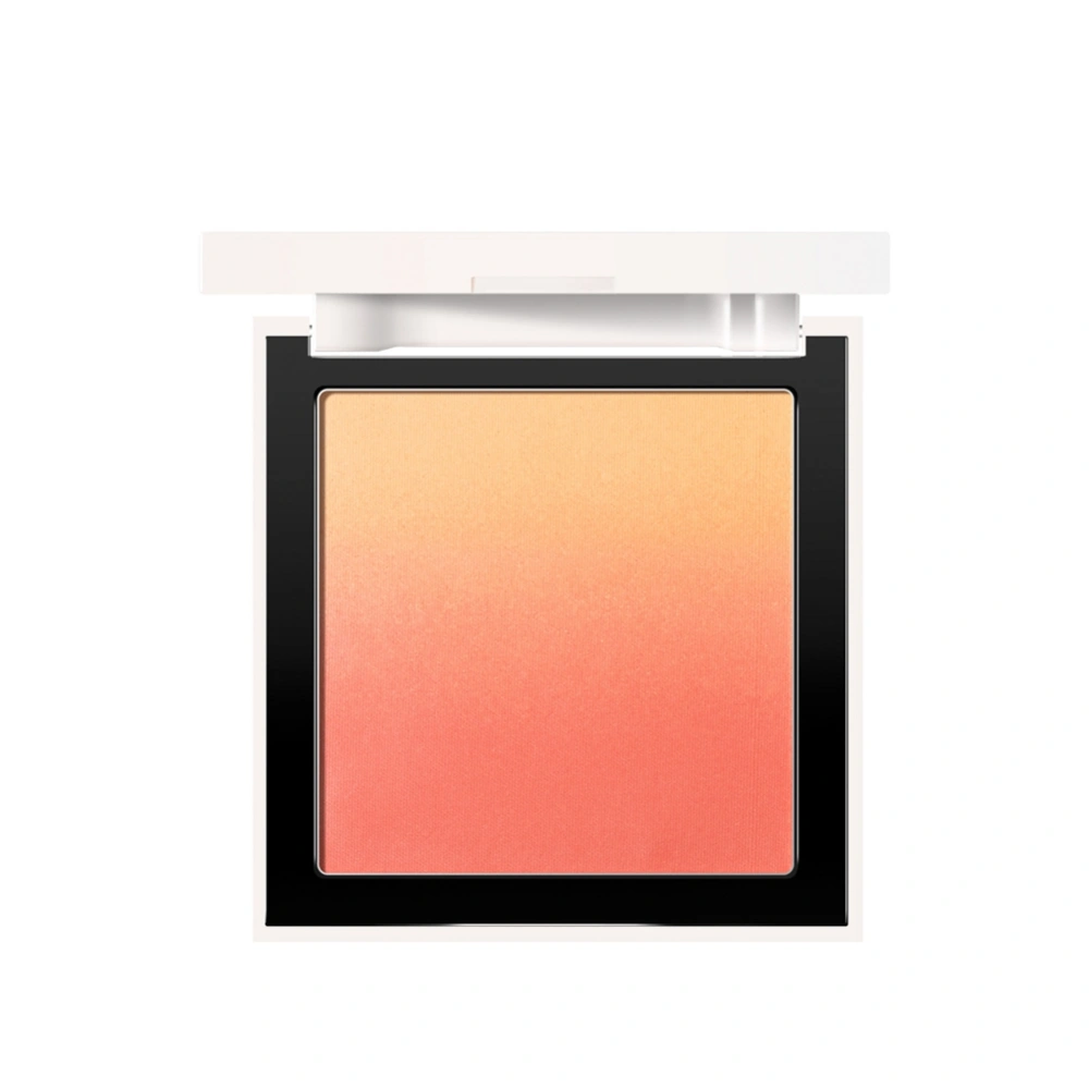 Face Makeup Blush Powder Gradation Blusher Longlasting Cosmetic Cheek Powder#4