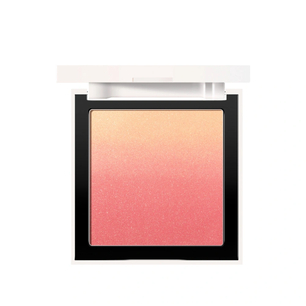 Face Makeup Blush Powder Gradation Blusher Longlasting Cosmetic Cheek Powder#3