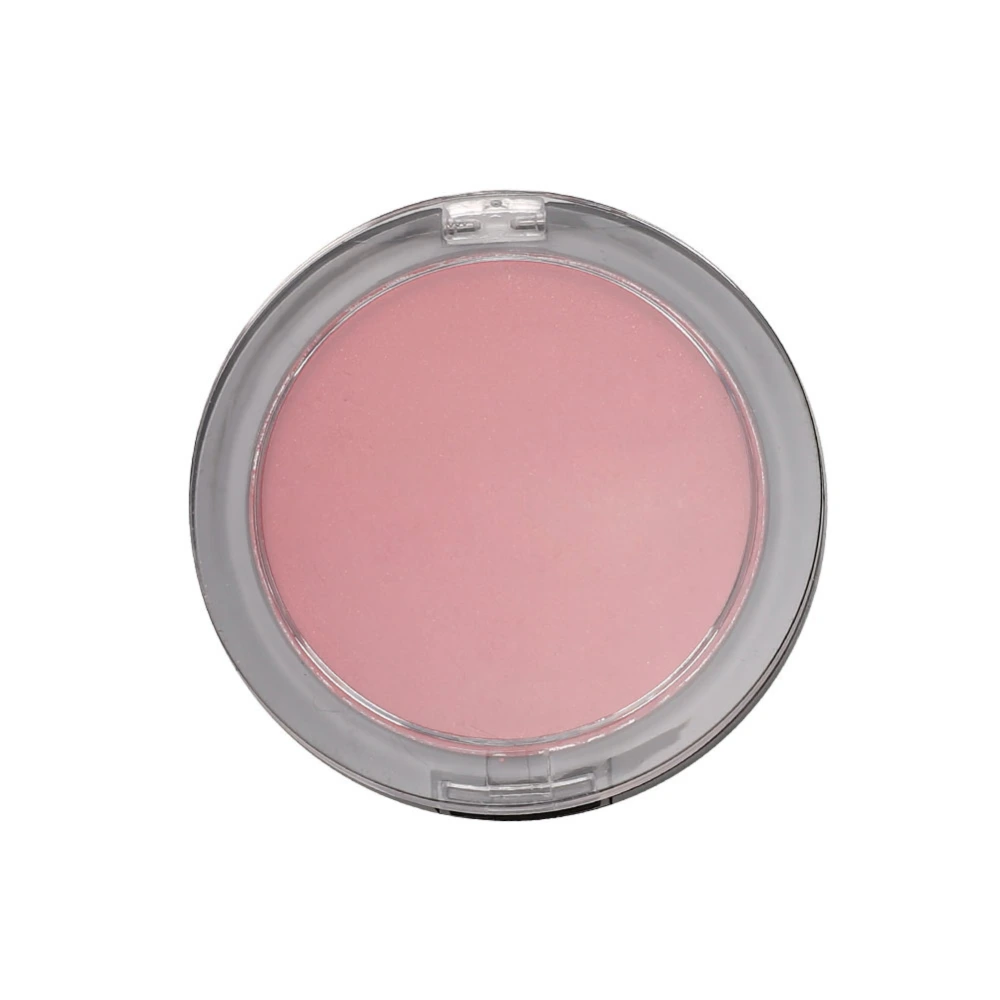 SACE LADY Matte Face Blusher Long Lasting Brightening Face Cheek Makeup 6g SL265(02 )