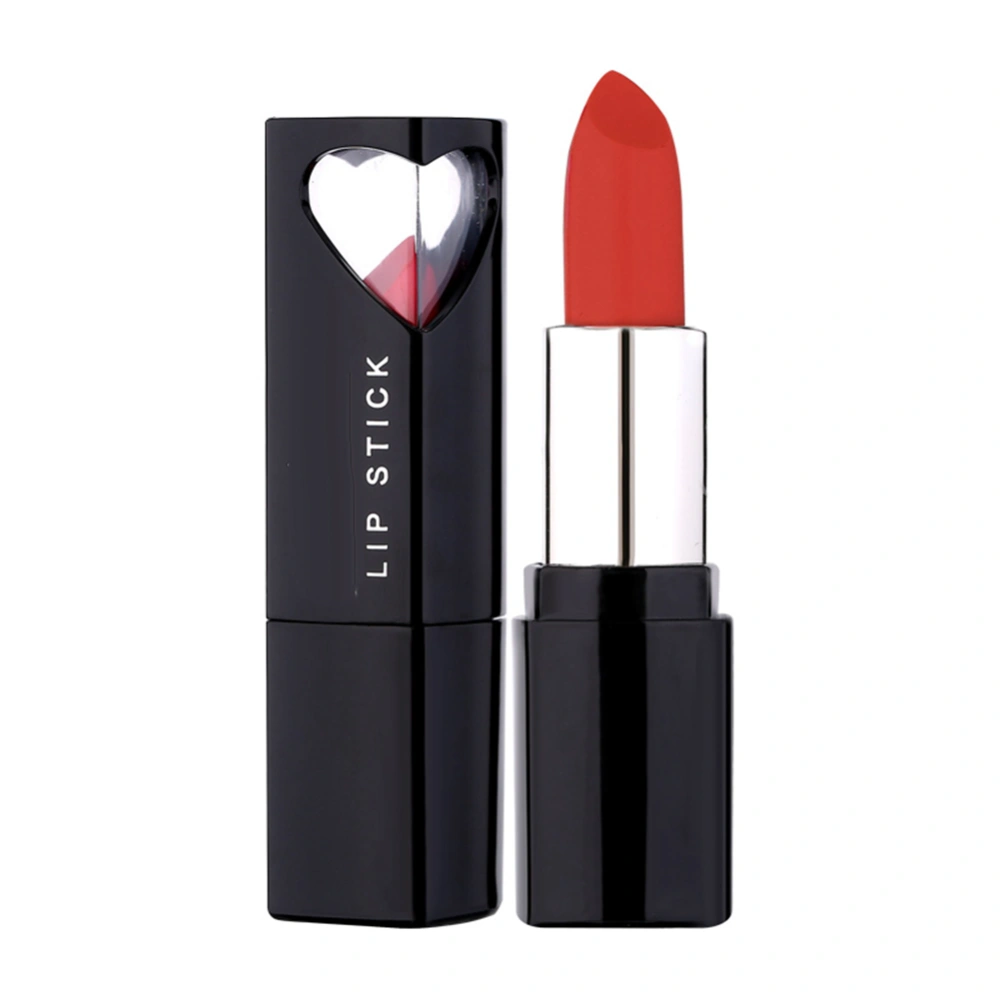 Professional Women Lady Waterproof Long Lasting Matte Lipstick Makeup (05)