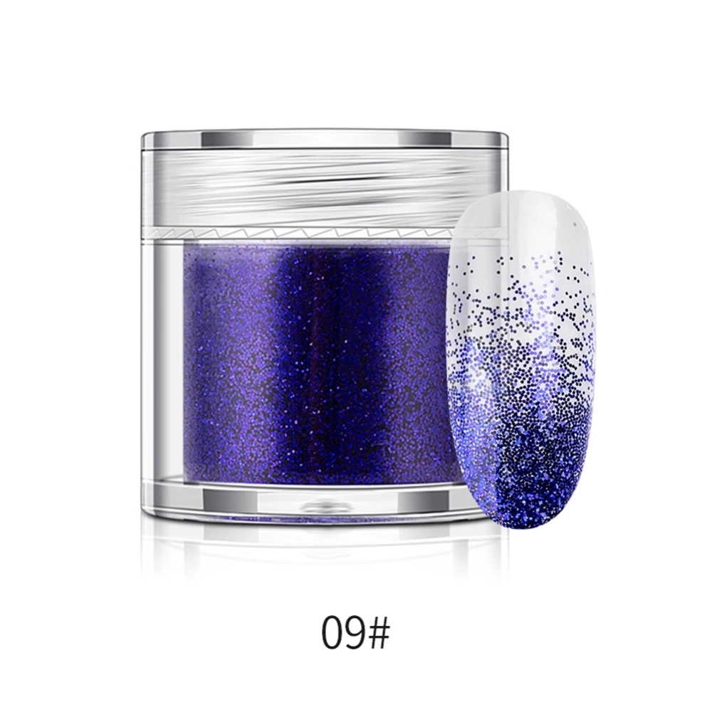 Nail Art Glitter Powder Bottled Manicure Pigment 10g(Purplish Blue)