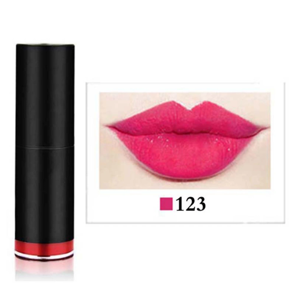 Waterproof Lipstick Long Lasting Pencil Lip Gloss Lip Stick Makeup Tool 123#