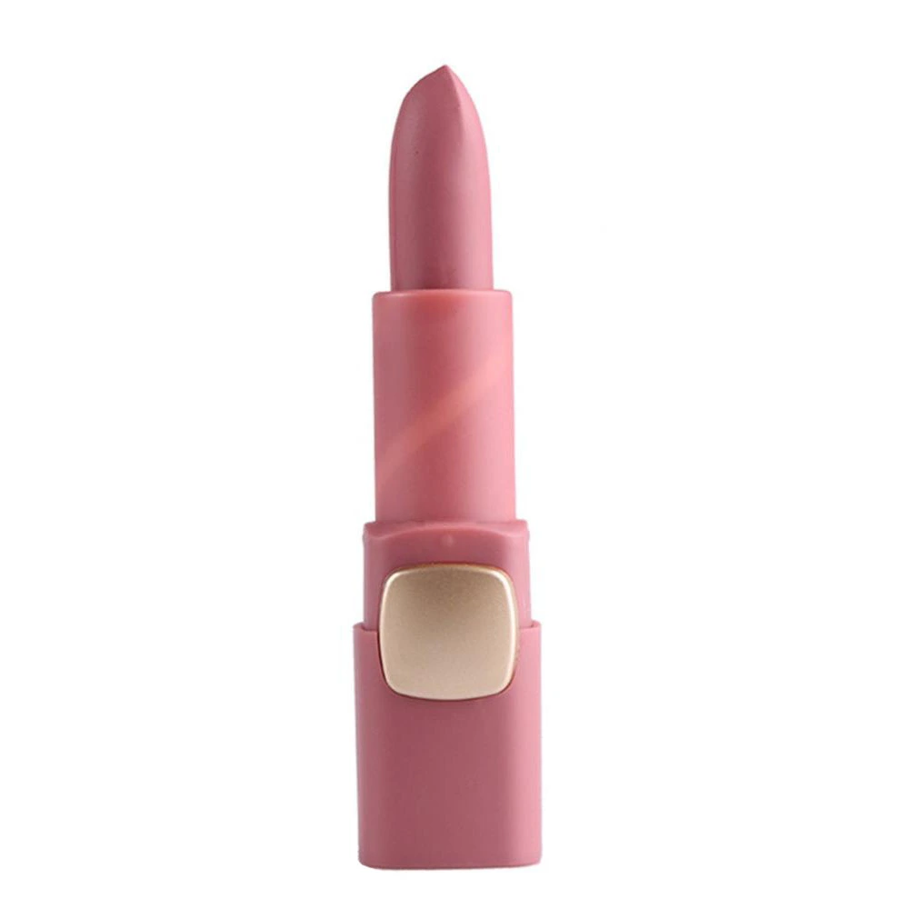 Waterproof Mist Matte Moisturizing Long Lasting Lipstick Makeup (33#Orchid)