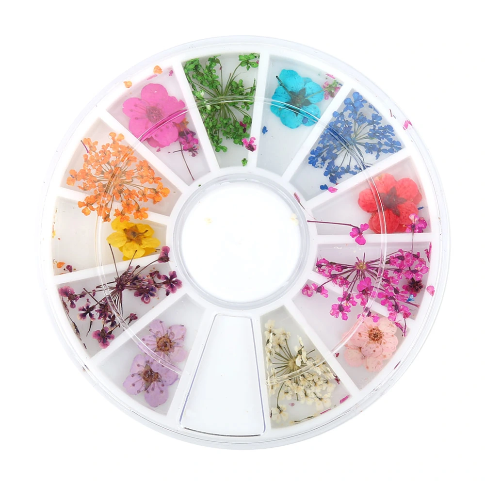 12 Types Colorful Natural Dried Flowers Set Real Dry Flowers Nail Decoration Manicure Arts