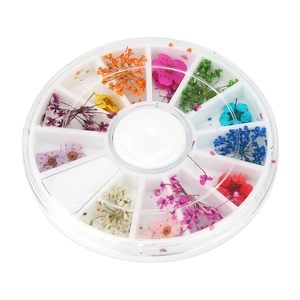 12 Types Colorful Natural Dried Flowers Set Real Dry Flowers Nail Decoration Manicure Arts