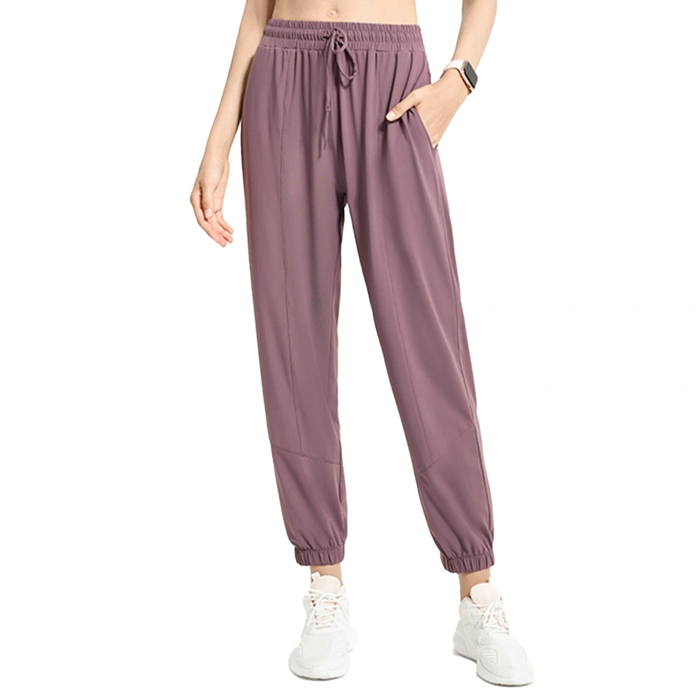 Women Sports Pants Running Sweatpants Casual Trousers Summer Thin Loose Tapered Cuff Foot Pants Purple XL