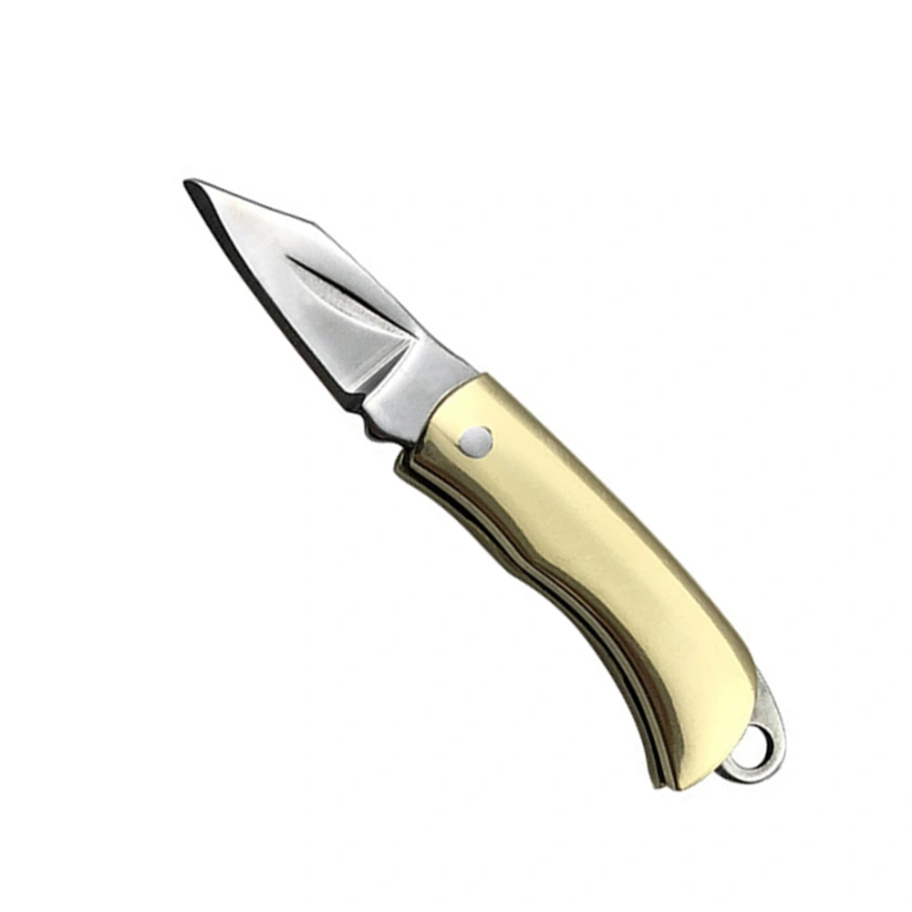 Folding Survival Knife, Portable Knives with Mirror Brass Hand Grip