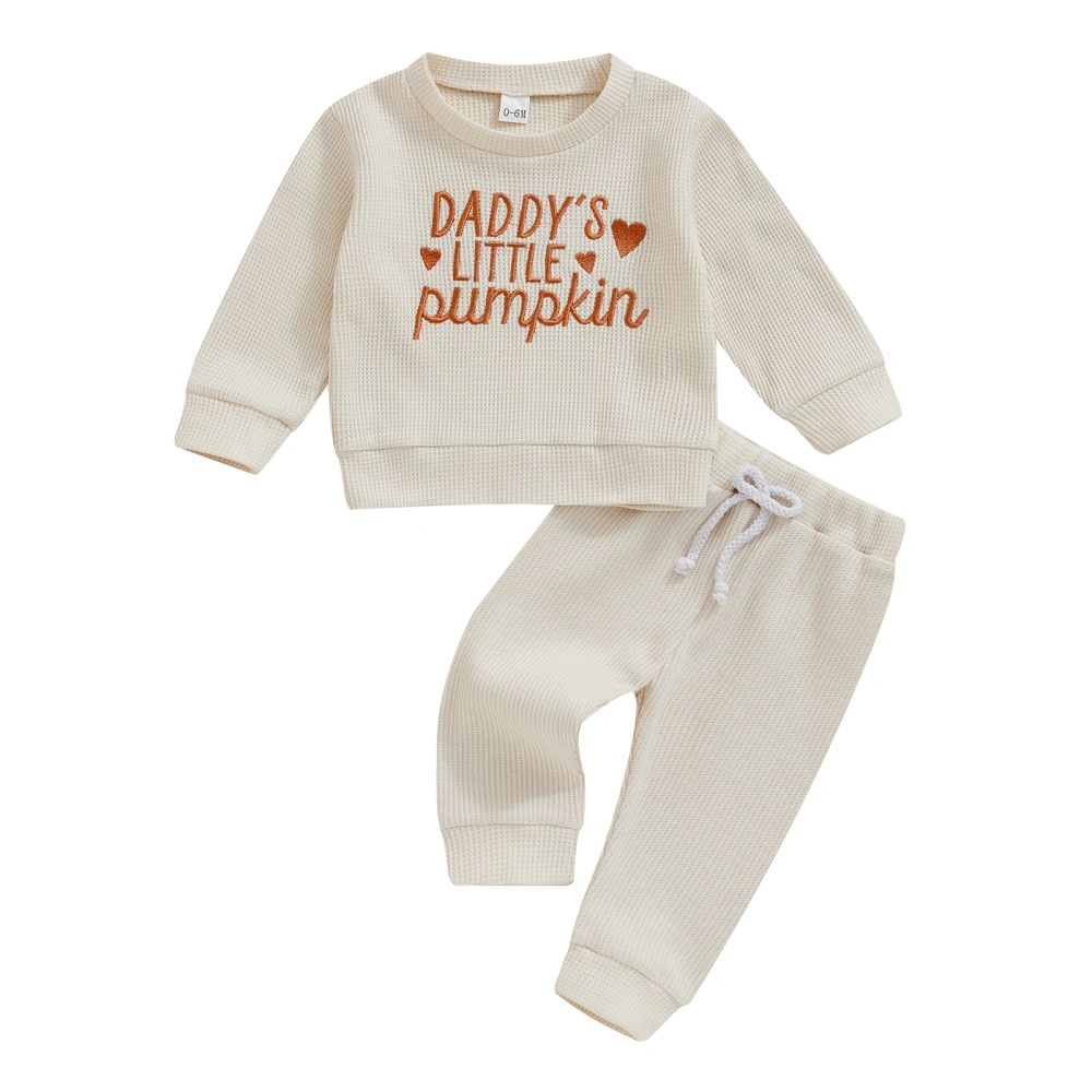 Baby 2 Piece Outfit Letter Embroidery Sweatshirt and Elastic Pants