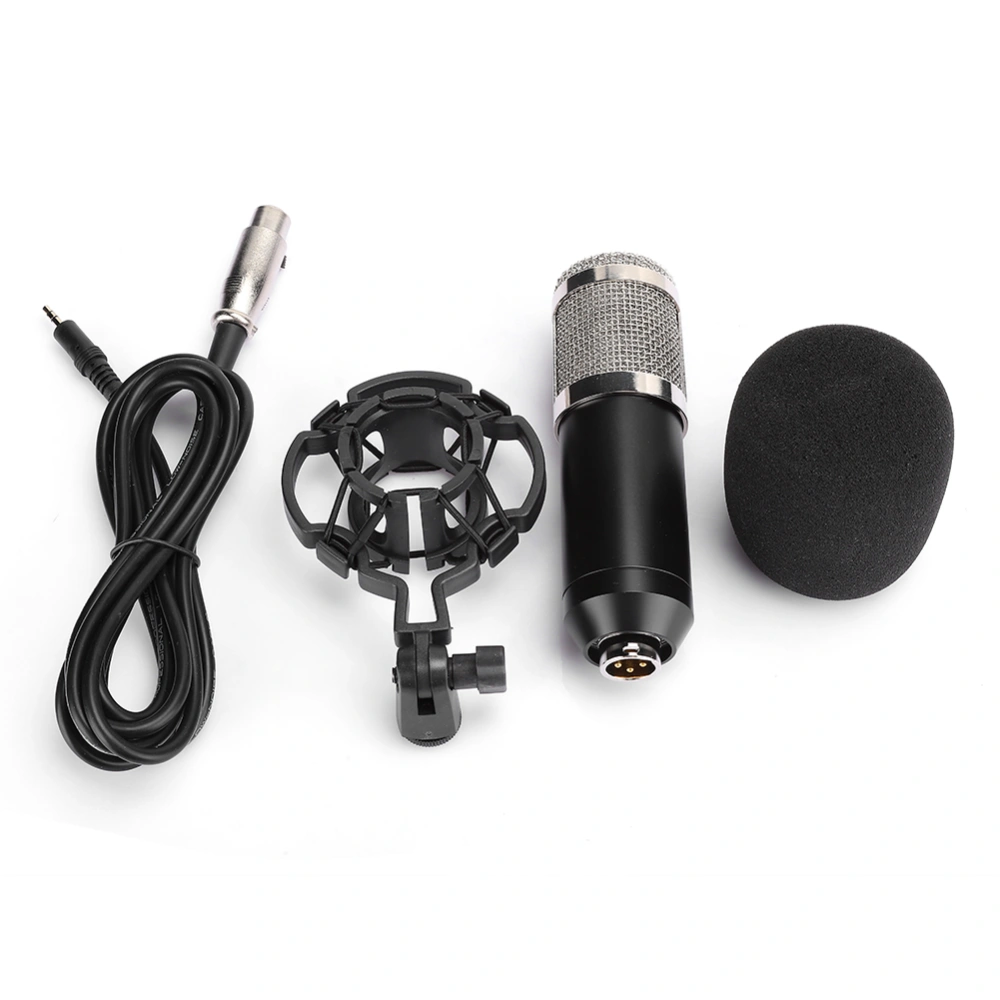 Wired Computer Condenser Microphone with Stand for Live Streaming Karaoke Recording