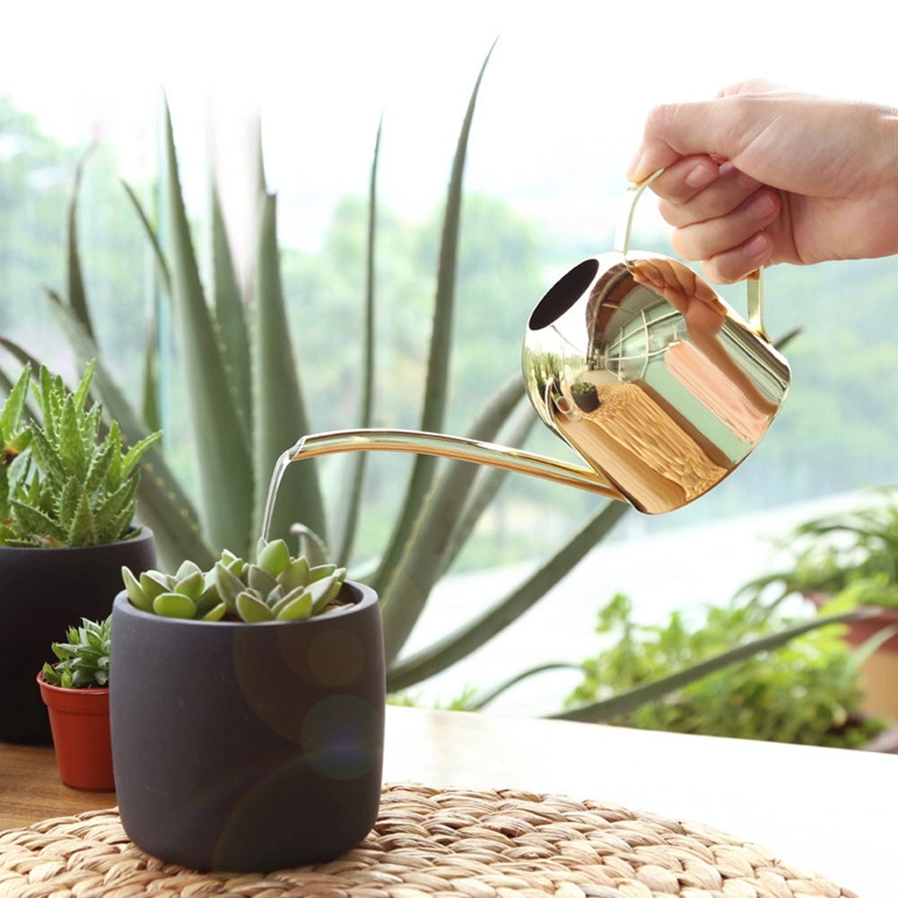 500ml Stainless Steel Watering Can Long Mouth Sprinkling Pot for Outdoor and Indoor House PlantsGold