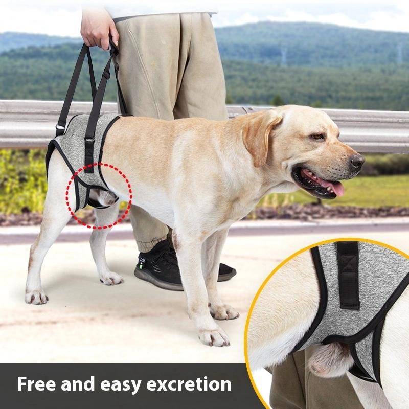 Elderly Dog Outing Back-style Auxiliary Strap