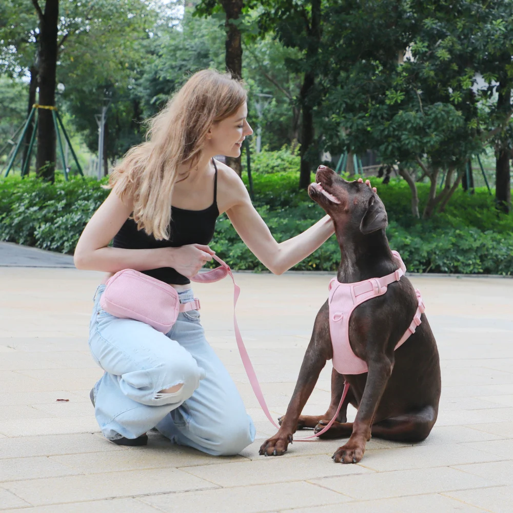 Design Pink Corduroy Pet's Chest-back Can Carve Writing Collar Rope Dog Walking Bag