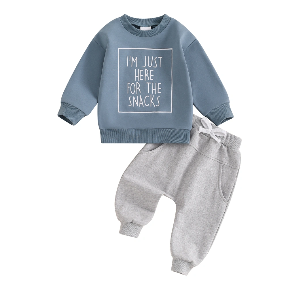 Toddler Boys Fall Outfits Letter Print Sweatshirts and Pants