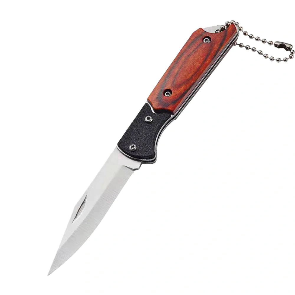 Keychain Knife, Stainless Steel Folding Knife Fruit Knife for Camping