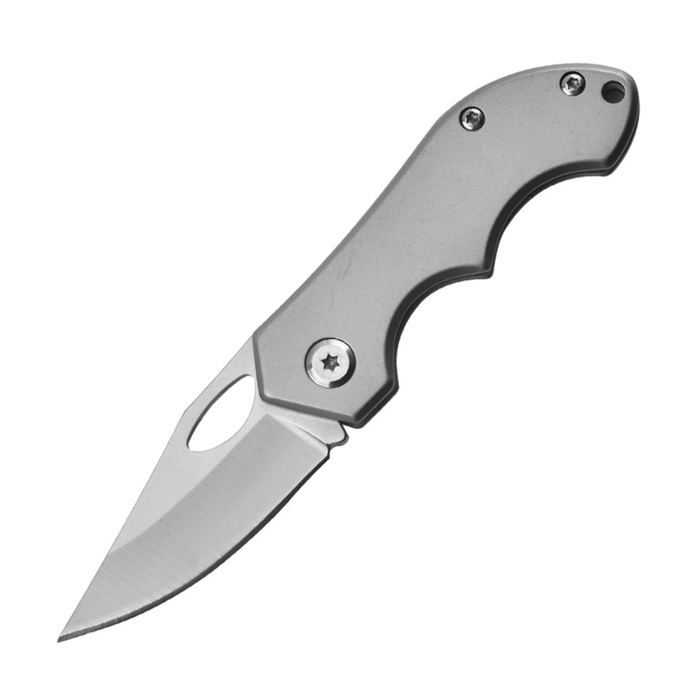 Stainless Steel Folding Knife, Pocket Knife for Outdoor Survival