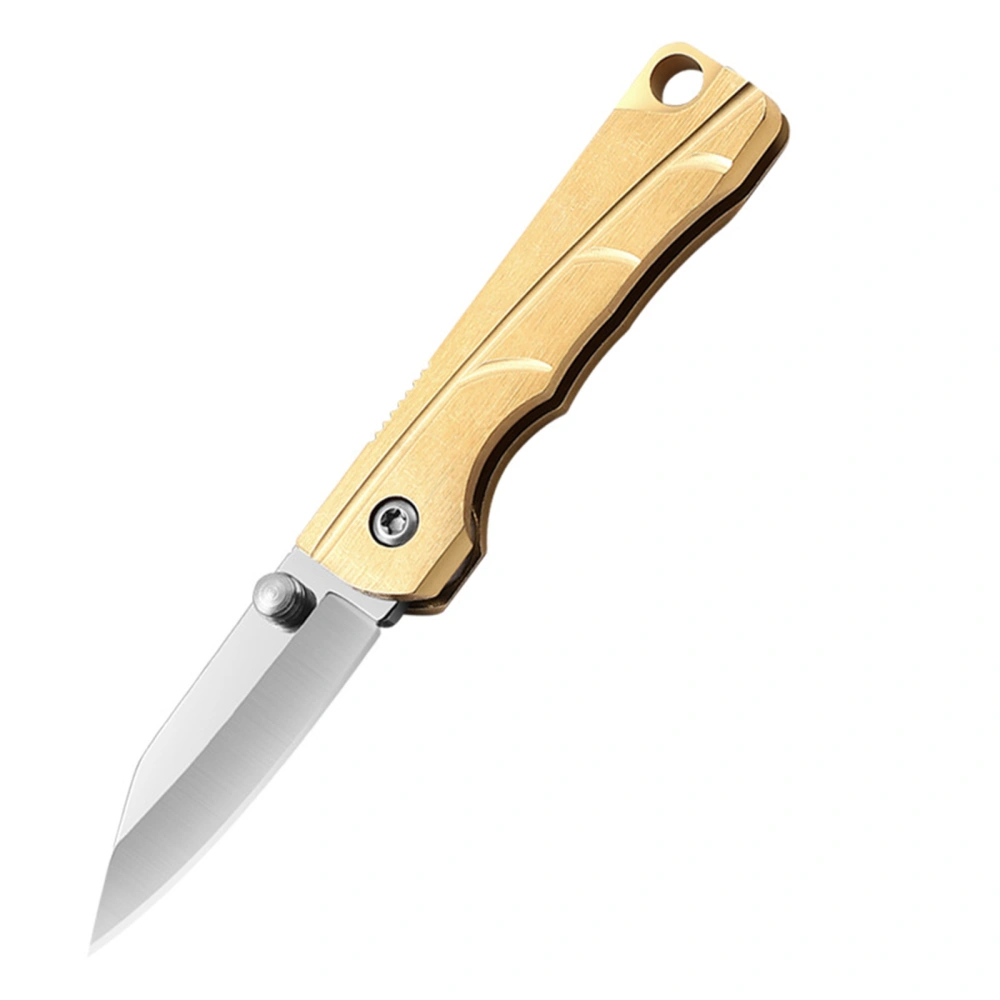 Folding Knife, Keychain Pocket Knife Camping Knife, Outdoor Gear