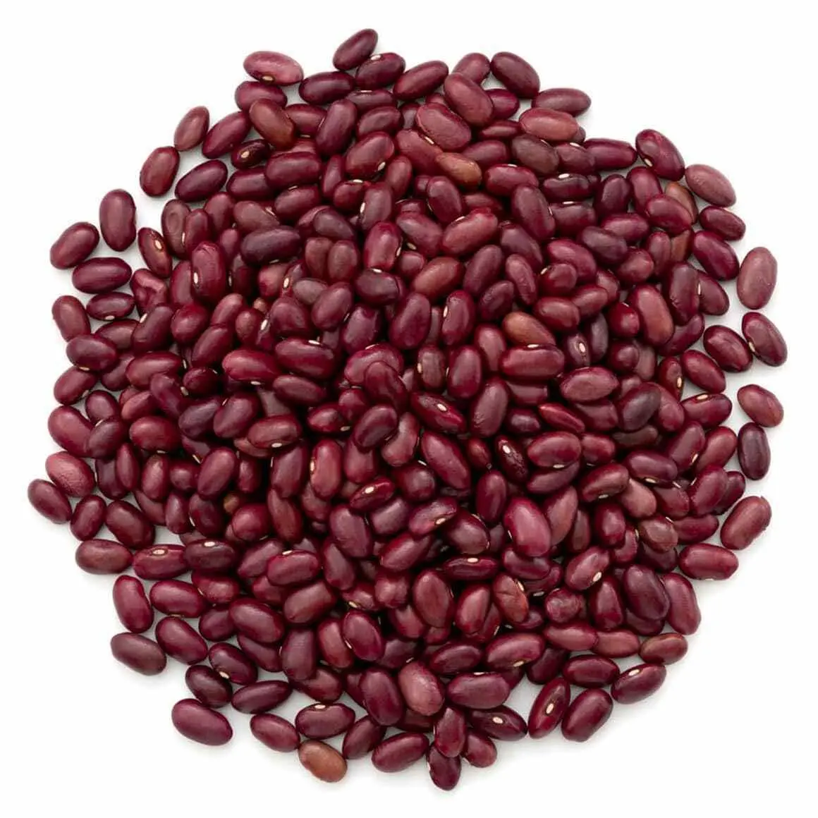 Food to Live Organic Dark Red Kidney Beans, 1 Pound – Non-GMO, Kosher, Raw, Sproutable, Vegan