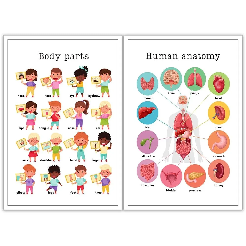 noskisy Toddler Educational Preschool Posters Human Body Structure Prints Painting Set of 2 Nursery Homeschool Kind Classroom Wall Decor Toddler Educational Canvas Wall Art 8x10in Unframed