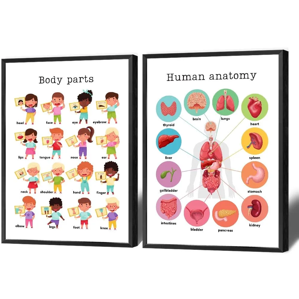 noskisy Toddler Educational Preschool Posters Human Body Structure Prints Painting Set of 2 Nursery Homeschool Kind Classroom Wall Decor Toddler Educational Canvas Wall Art 8x10in Framed