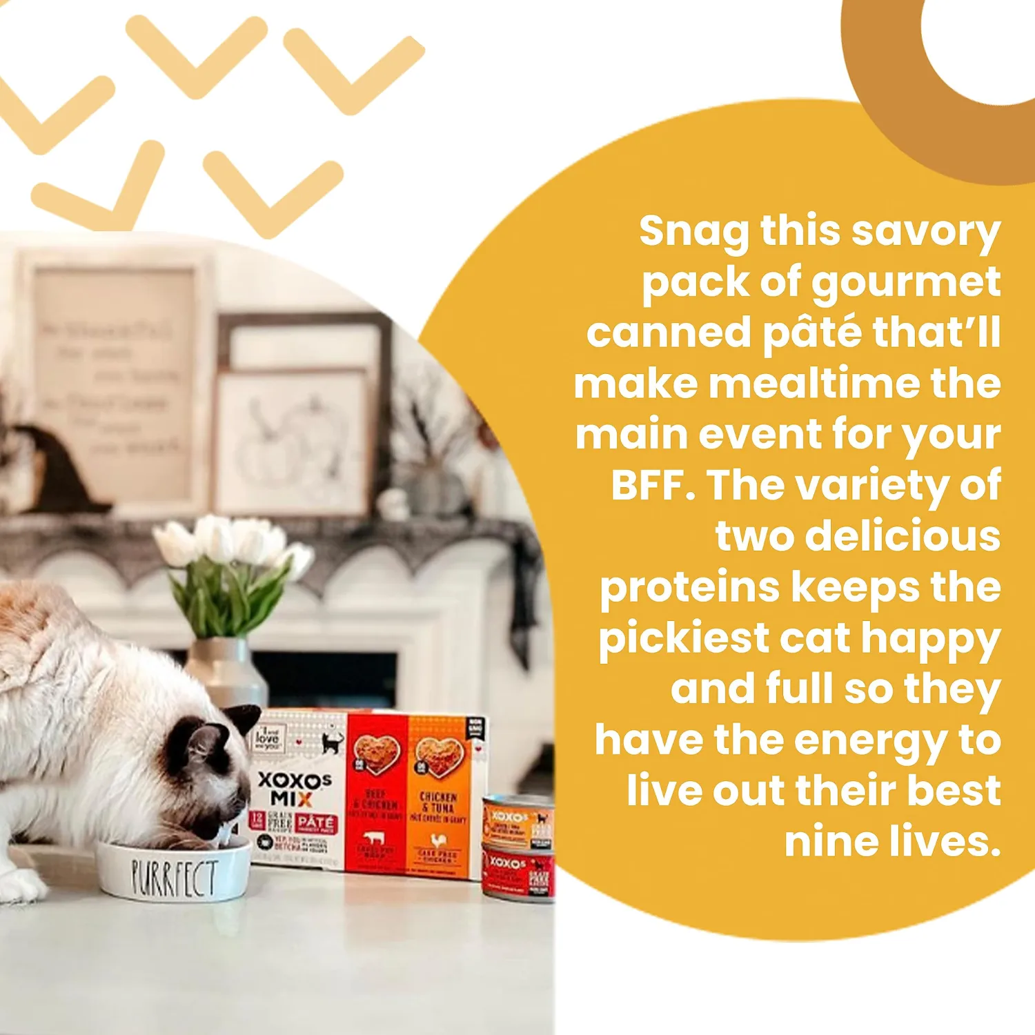I AND LOVE AND YOU XOXOs Wet Cat Food - Chicken + Beef Pâté Variety Pack - Grain Free, Filler Free, 3oz Pack of 12 Cans