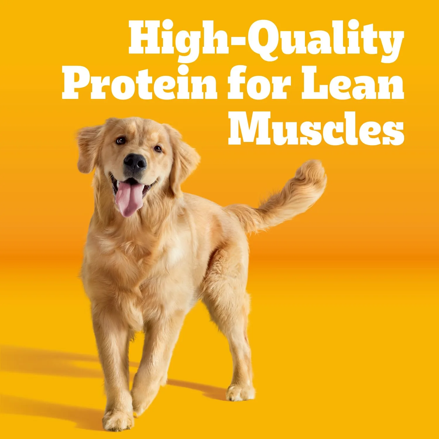 Pedigree Adult Dry Dog Food, Complete Nutrition, Roasted Chicken & Vegetable Flavor, 18 lb. Bag
