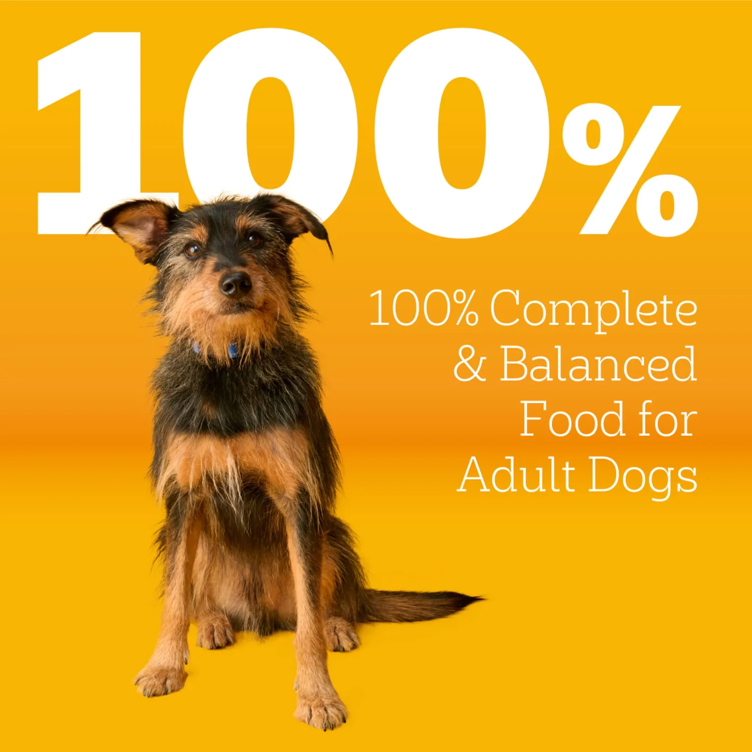 Pedigree Adult Dry Dog Food, Complete Nutrition, Roasted Chicken & Vegetable Flavor, 18 lb. Bag