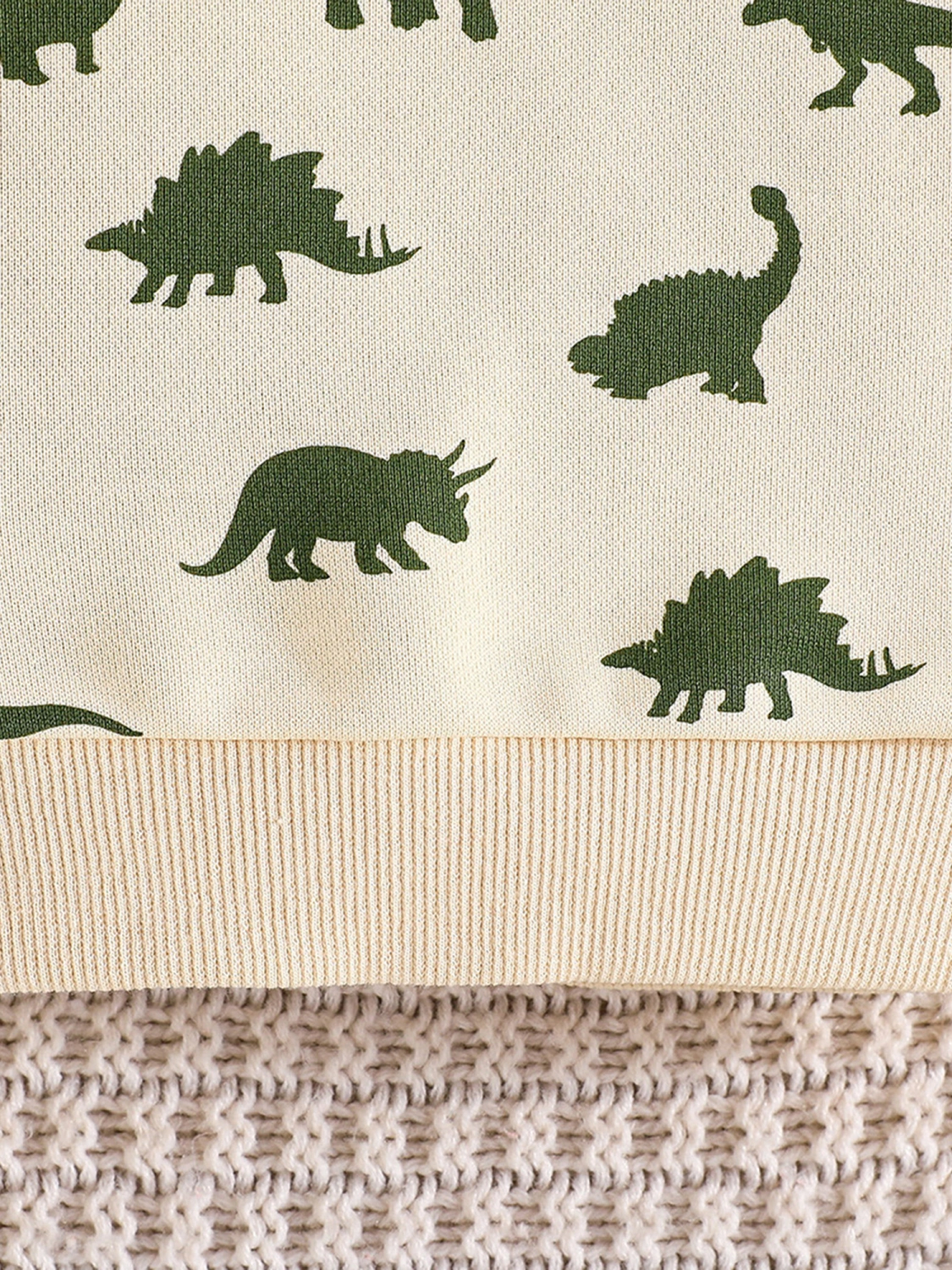 Baby Boy Fall Outfit Dinosaur Print Sweatshirt and Elastic Pants
