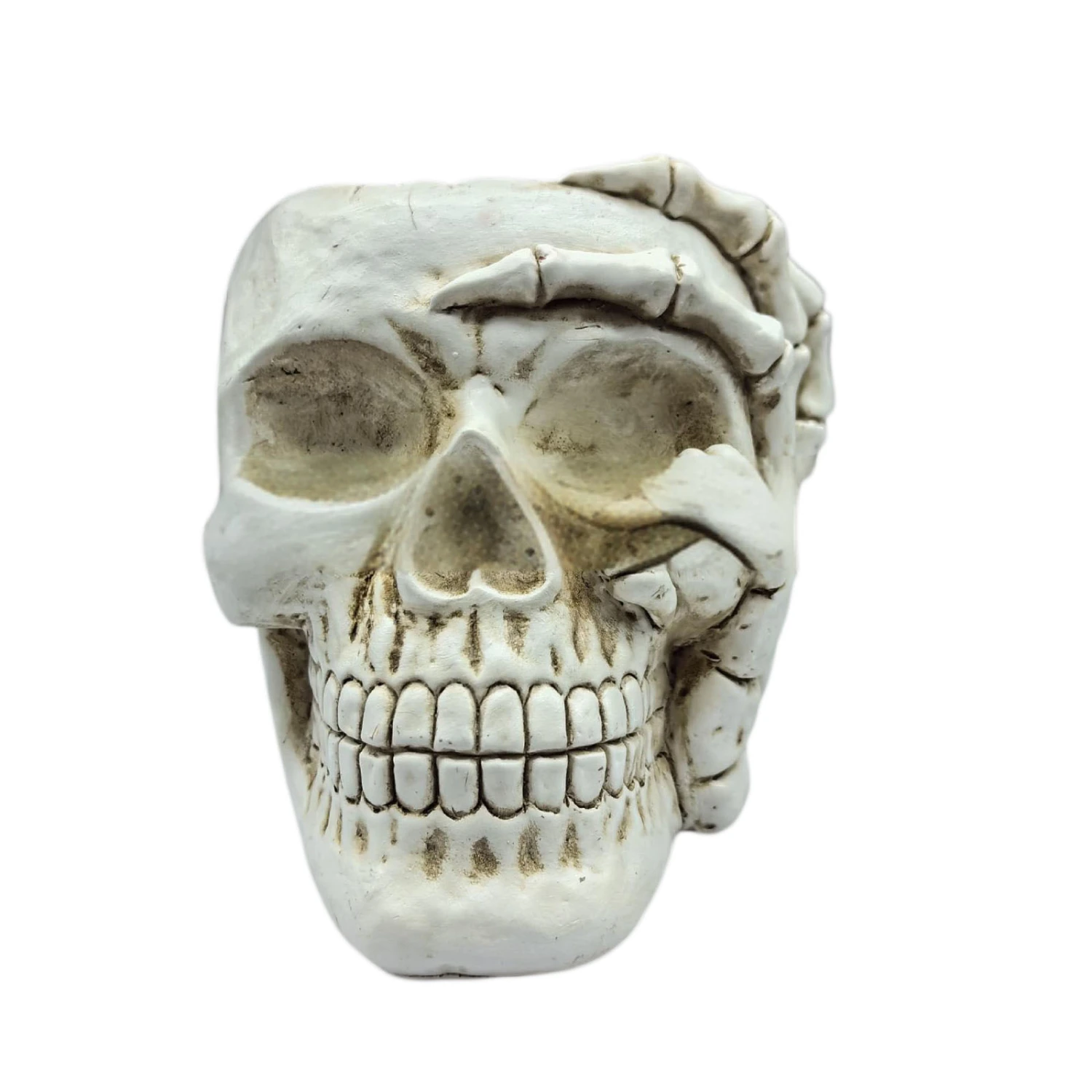 Halloween Skull Planter Flower Pot Unique Skull Vase Succulent Planter