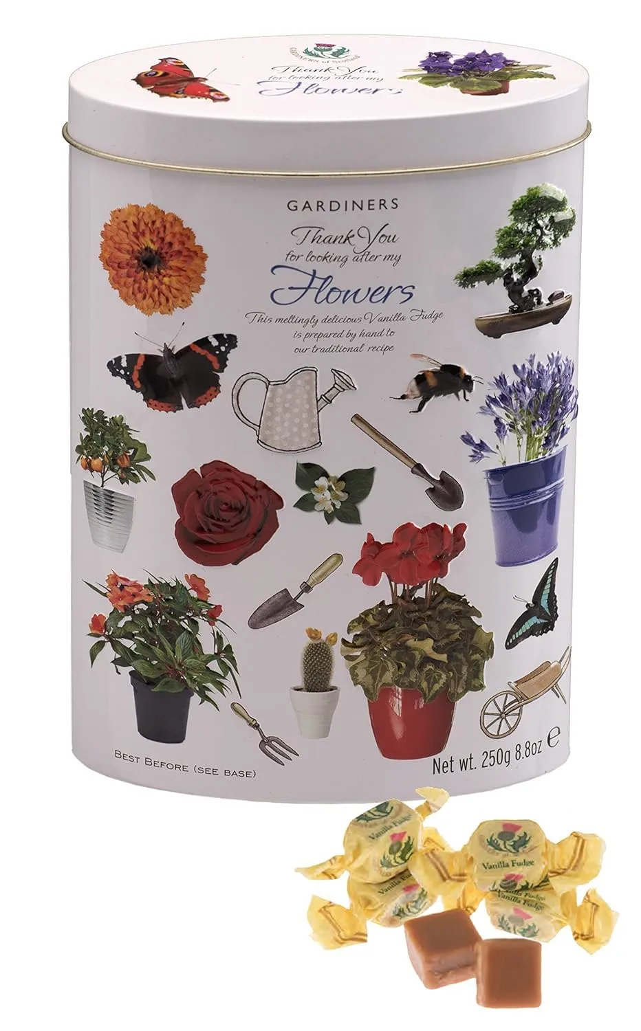 Gardiners of Scotland Vanilla Fudge, Thank You Flowers Design, 8.8oz Tin
