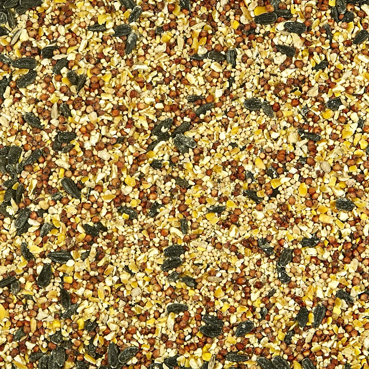 Kaytee All American Wild Bird Food Seed Blend, 5 Pound