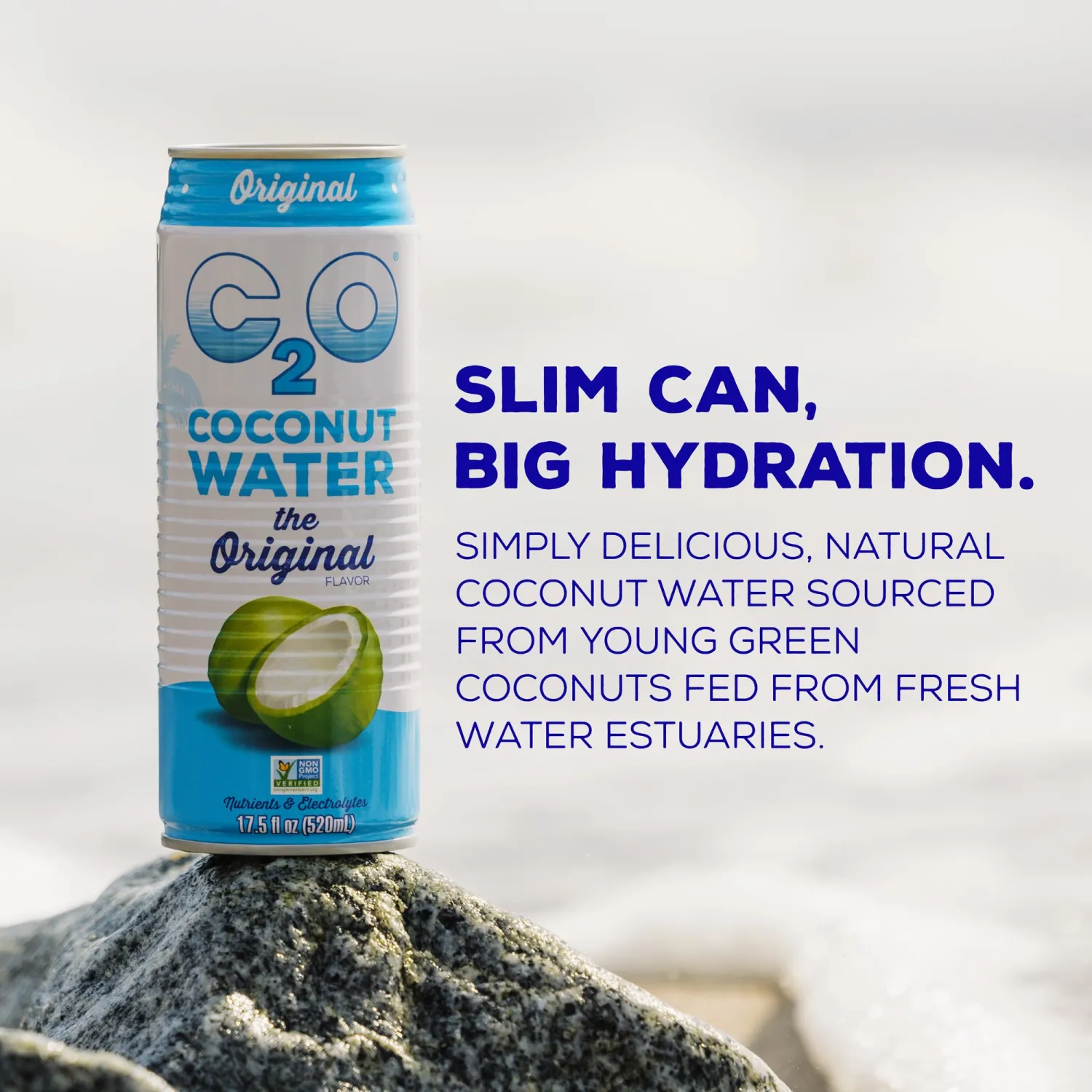 C2O - Coconut Water, The Original Flavor (12 Pack) - Made with Fresh Coconut Water, Plant Based - Non GMO Canned Water - Natural Hydration, Essential Electrolytes, & Potassium - 12 Cans, 17.5 FL OZ
