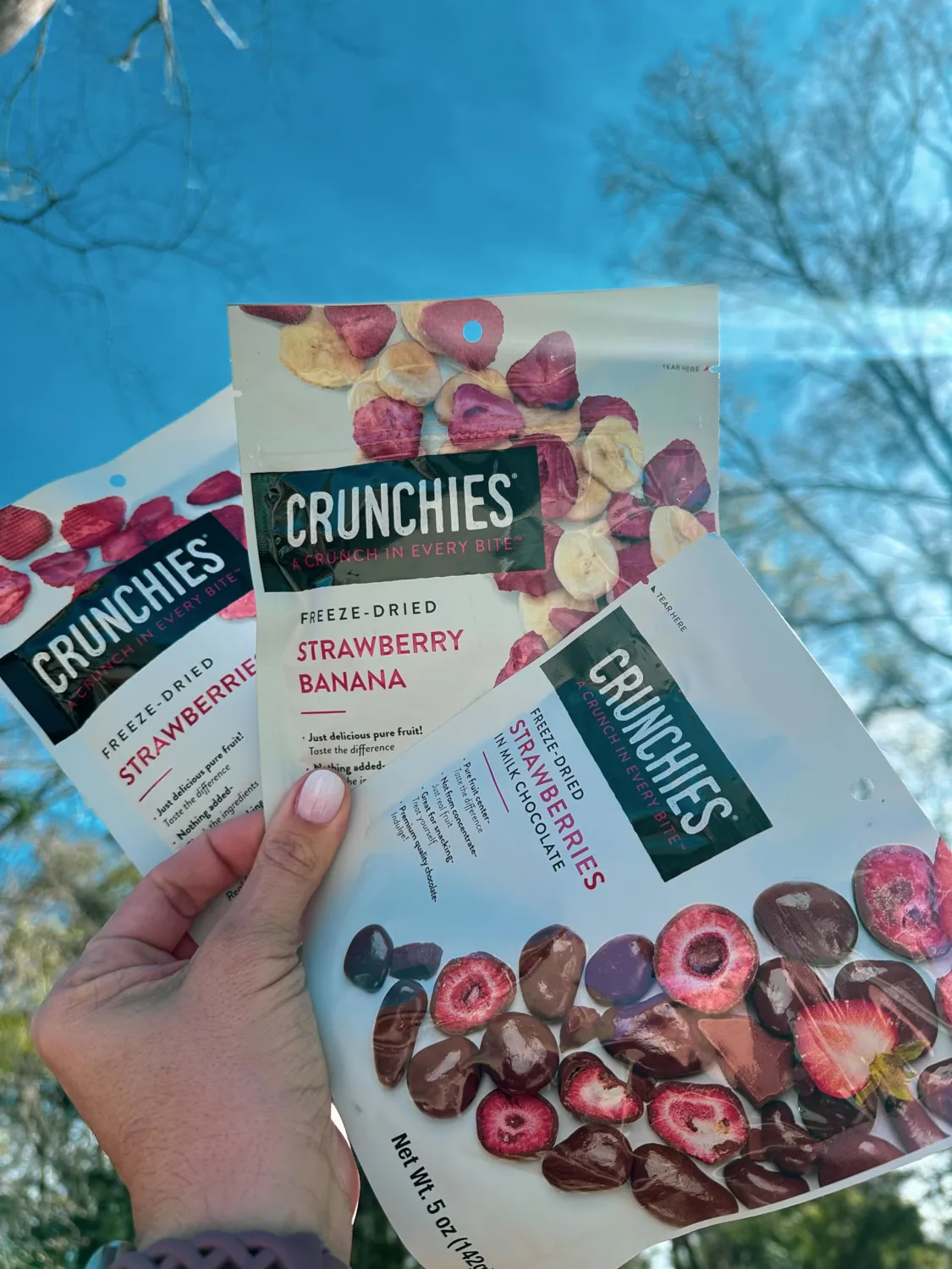 Crunchies Freeze-Dried Fruits, 100% All Natural Crispy Fruit, Non GMO and Kosher, Resealable Freeze Dried Fruit Snack Packs, Pack of 6 (Strawberry Lovers Variety Pack)