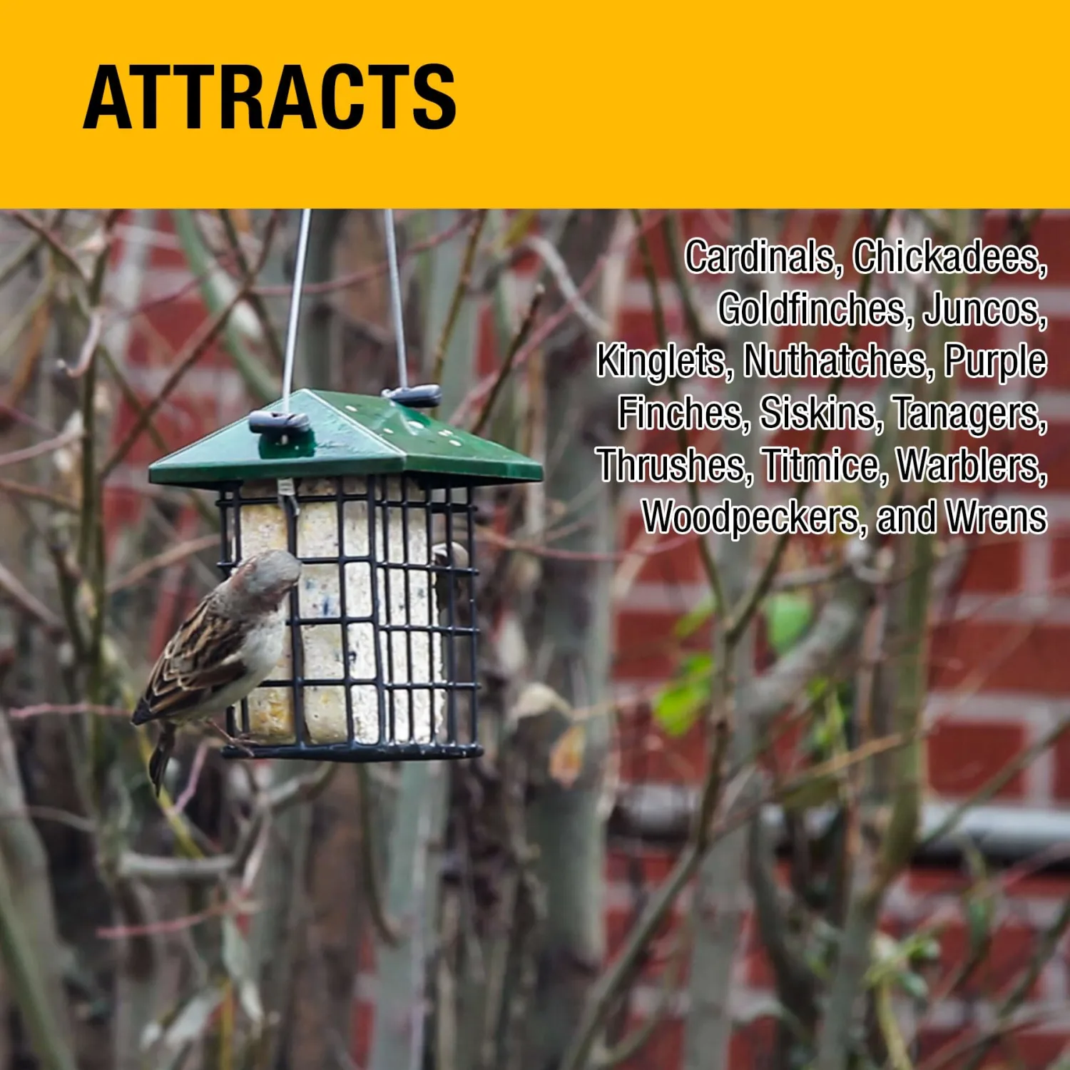 Heath Bird S Blend Suet Cakes Sample Pack, Contains 3 Suet Cakes, Try It, Your Birds Will Love it, for Woodpeckers, Cardinals, Siskins, Sparrows, Finchs & Many More Wild Bird Species