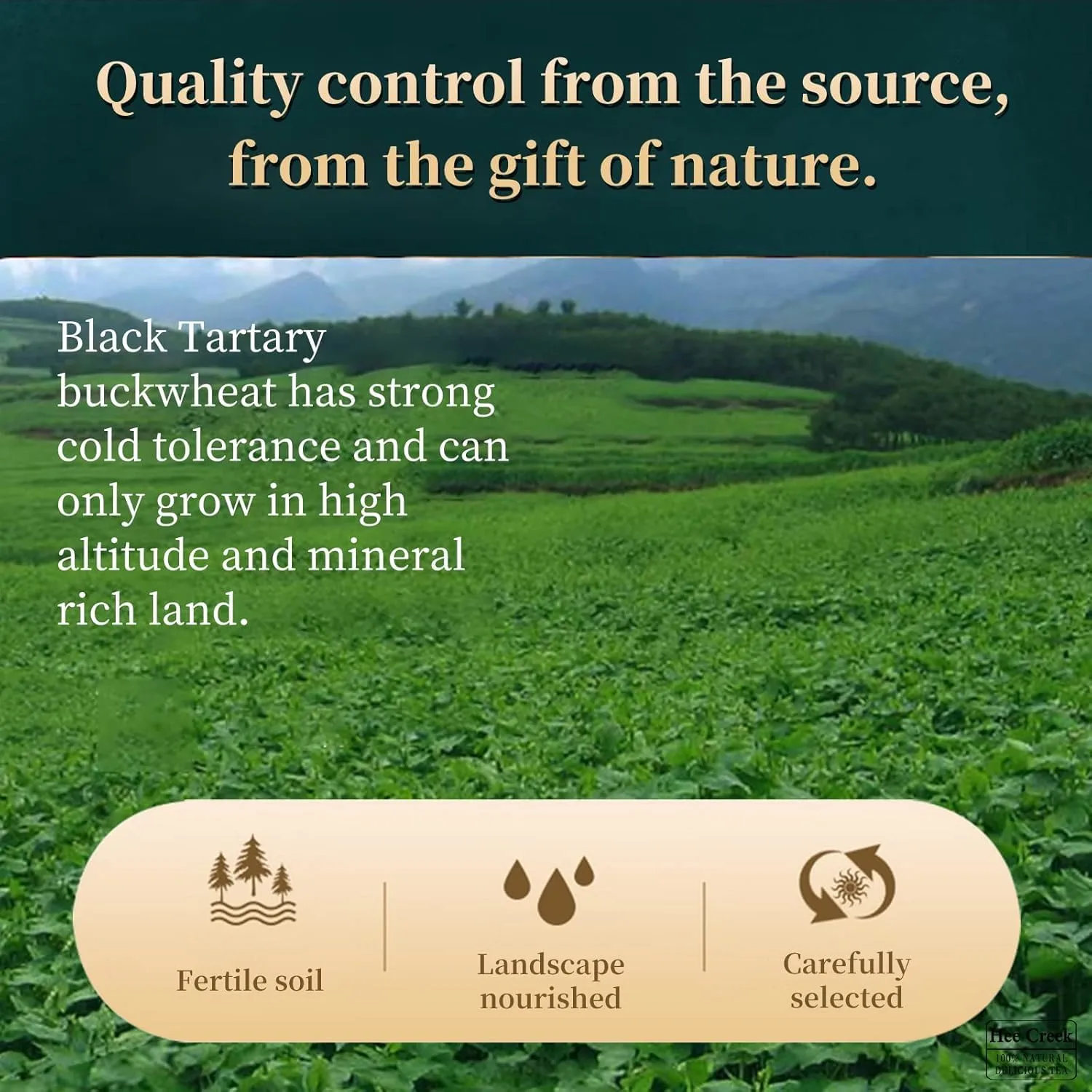 Himalayan Buckwheat Tartary 540g/19oz black tartary buckwheat Caffeine Free 100% Natural Gluten-Free 黑苦荞 苦荞茶