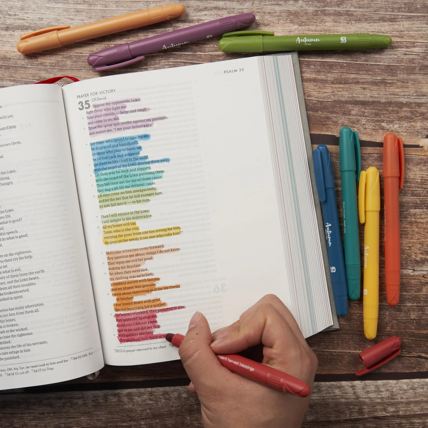 BLIEVE - Gel Highlighters, Bible Highlighters No Bleed, Cute Bible Journaling School Supplies, Assorted Colors, Study Set And Bible Accessories (Autumn, 8)