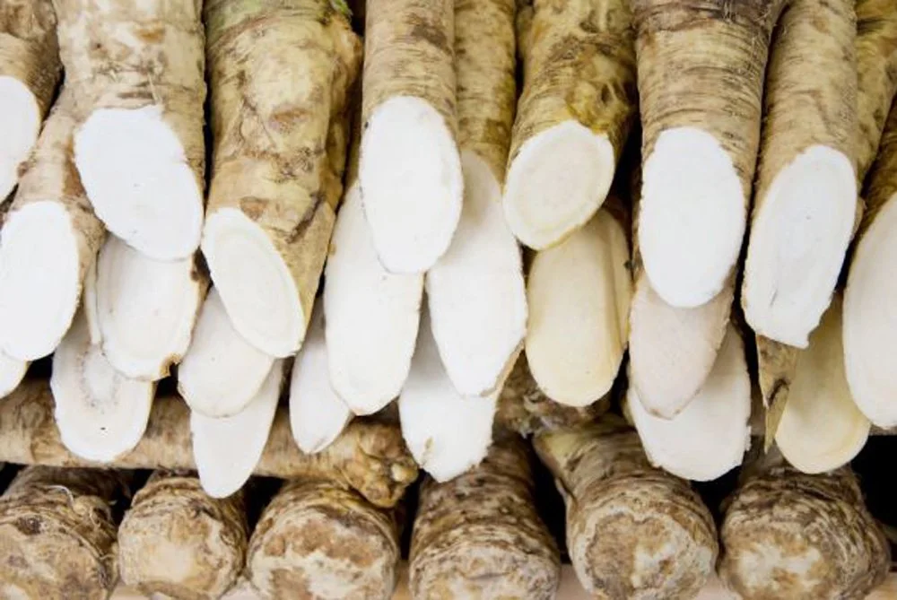 Horseradish Root, 4 ounces (Sold by Weight). Great for Planting, Seasoning or Sauces. A taste delight.