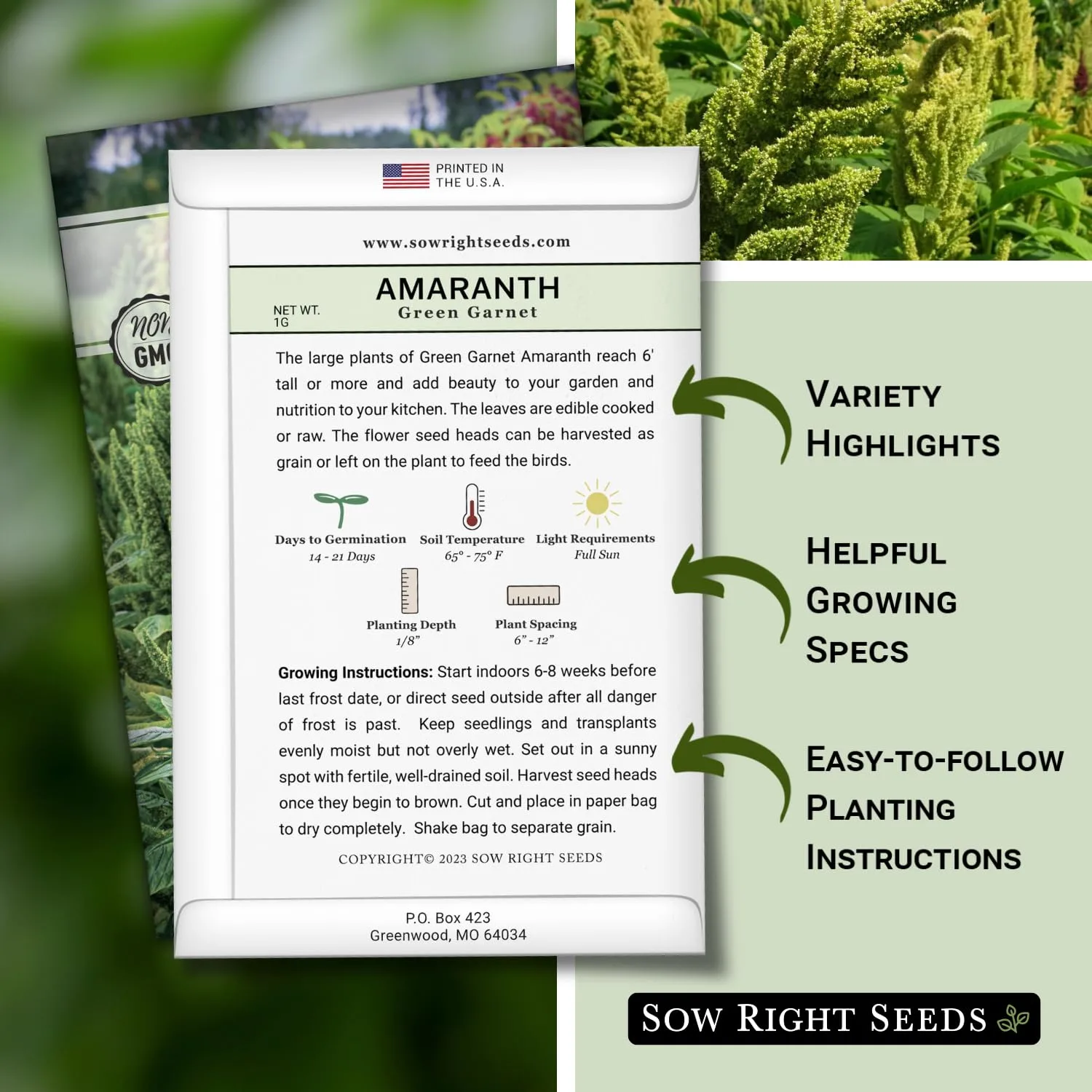 Sow Right Seeds - Green Garnet Amaranth Seeds for Planting - Non-GMO Heirloom Packet with Instructions to Plant & Grow an Outdoor Home Vegetable Garden - Hanging Green Amaranthus - Great Gift (1)