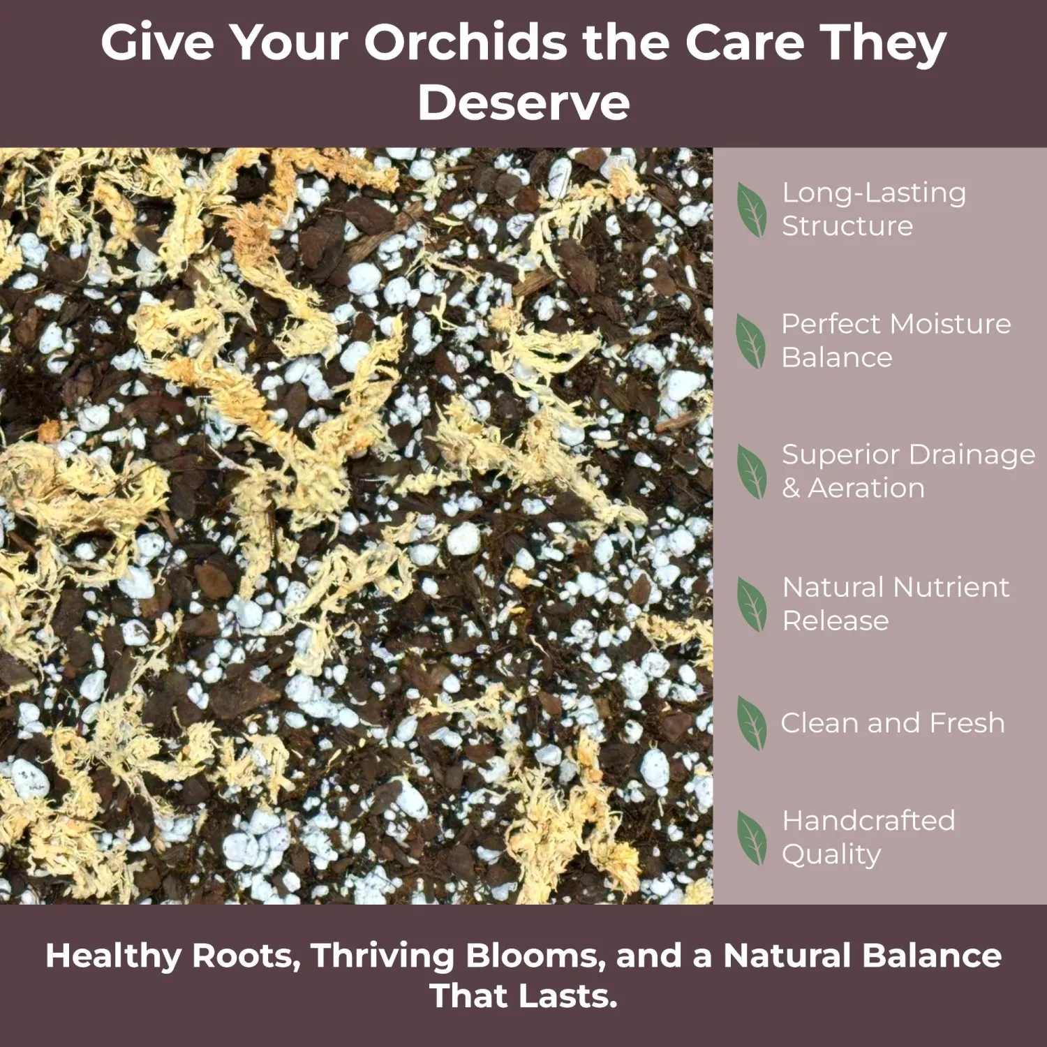 Orchid Potting Mix – Orchid Bark, Sphagnum Moss, Tree Fern & Perlite for Repotting Phalaenopsis Orchids, Indoor Plants, Orchid Soil Medium – Sustrato para Orquídeas (1 Quart)