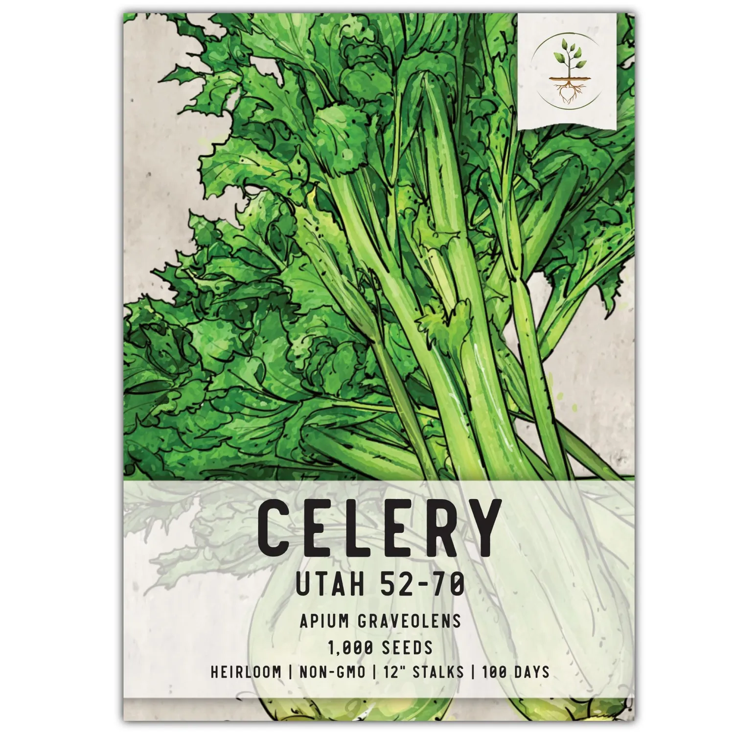 Seed Needs Celery Seeds for Planting Utah 52-70 Celery - Non-GMO, Heirloom & Untreated - Grow a Home Grown Outdoor Vegetable Garden for Fresh Produce (1 Pack)