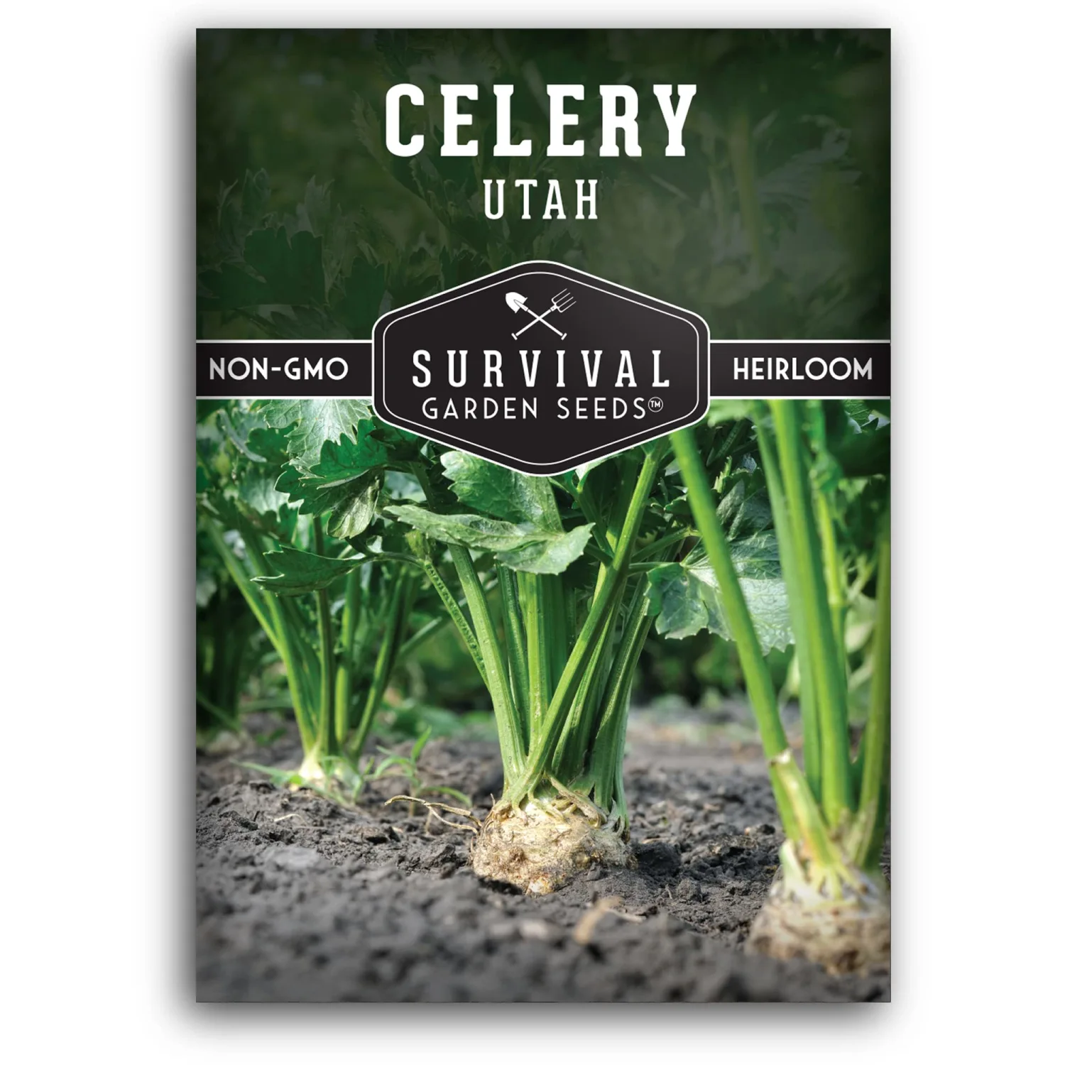 Utah Celery Seed for Planting - Packet with Instructions to Plant & Grow Delicious Celery Plants in Your Home Vegetable Garden - Tender Crisp Non-GMO Heirloom Variety - Survival Garden Seeds