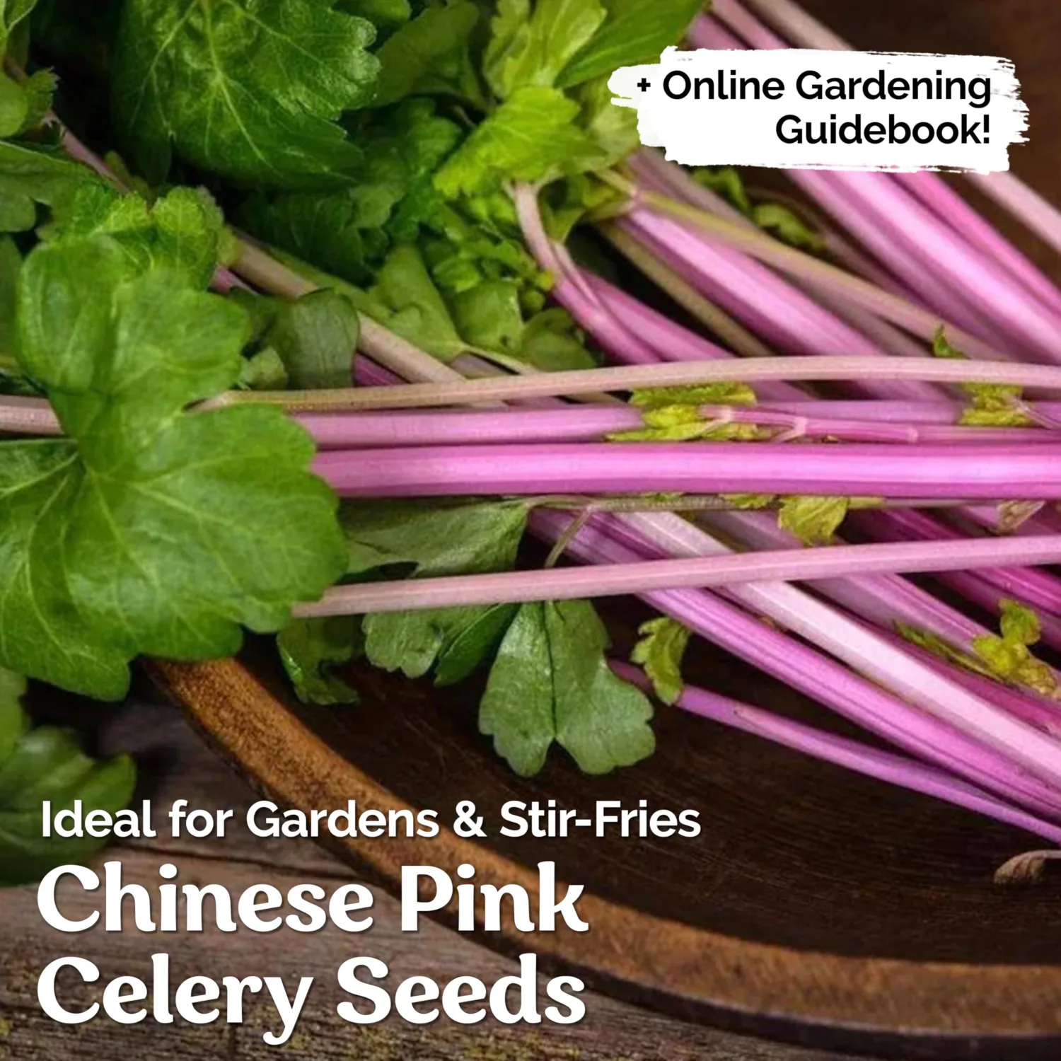 KVITER 200 Pink Chinese Celery Seeds (Apium Graveolens), Pink Celery Herb Seeds for Vegetable Home Garden, Early Harvest, Perfect Heirloom seeds Non Gmo Organic for Containers, Outdoor & Indoor Garden